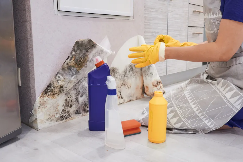Why your housing disrepair claim is important featured image. Image shows a person with their hand inside yellow gloves cleaning mould from a wall with bleach.