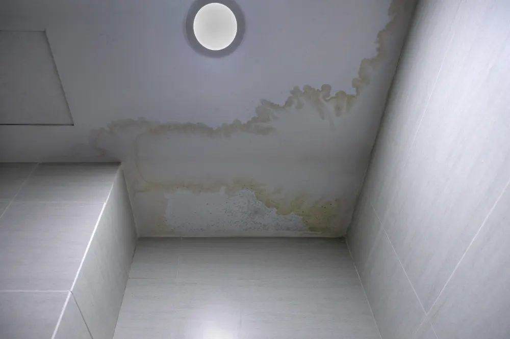 Is your home making you ill featured image. The image shows mildew stains on a ceiling.