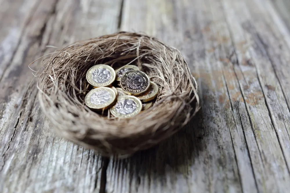 Mis-sold Pensions - The tell-tale signs featured image. Image shows a bird nest in with UK coins in to indicate a pension nest.